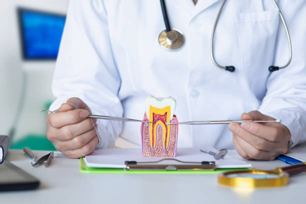 Best Same-Day Emergency Dental Services in Montgomery, MN